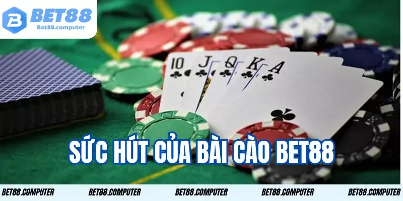 bai cao bet88 2