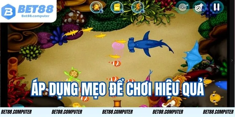 meo ban ca vu tru doi thuong 2