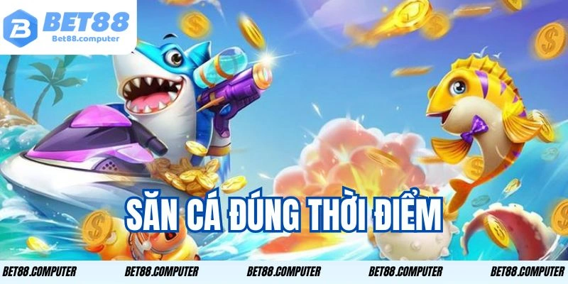 Săn cá đúng thời điểm