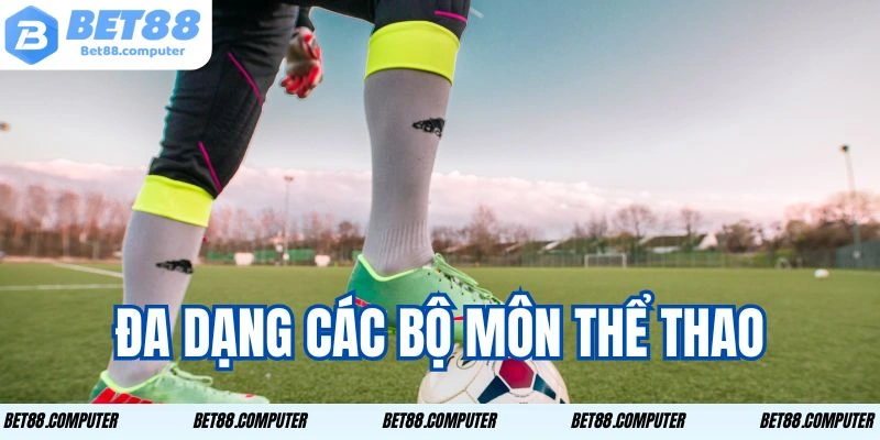 Đa dạng các bộ môn thể thao.